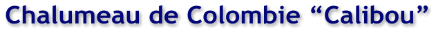 Chalumeau de Colombie �Calibou�